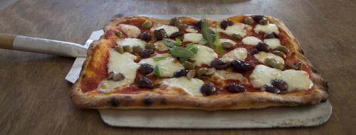 16819045_10212417288965276_1338701104673675622_o