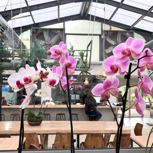 26114064_1691680774226373_4552702725325314179_n