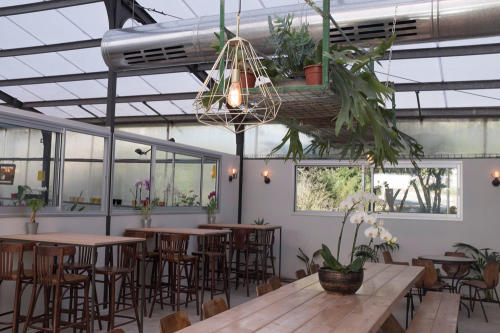 חממת-הסחלבים-מעלה-החמישה