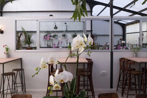 חממת-הסחלבים-מעלה-החמישה4