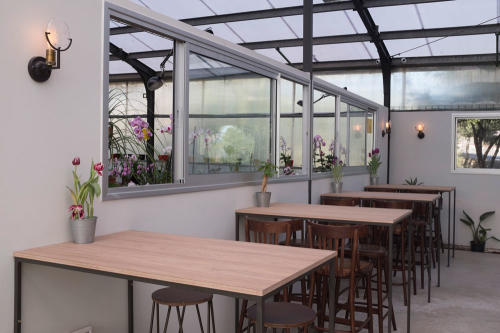 חממת-הסחלבים-מעלה-החמישה5