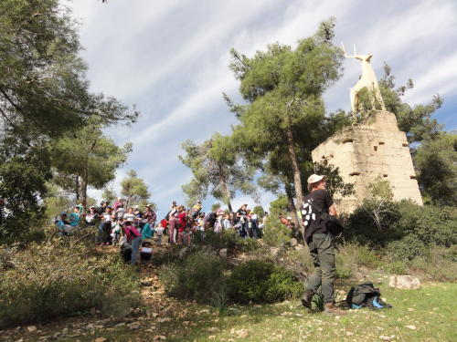 ה' בכסלו מעלה החמישה