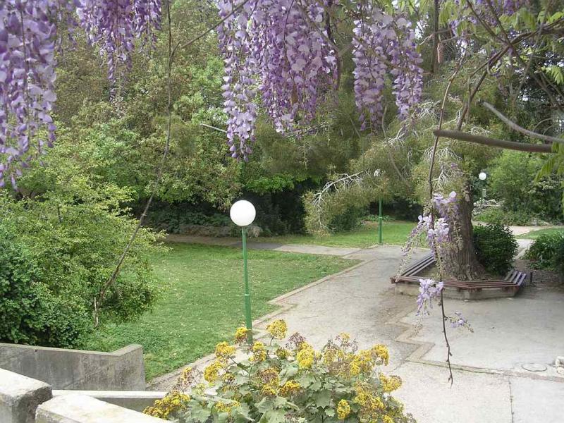 הדשא של חדר האוכל מעלה החמישה